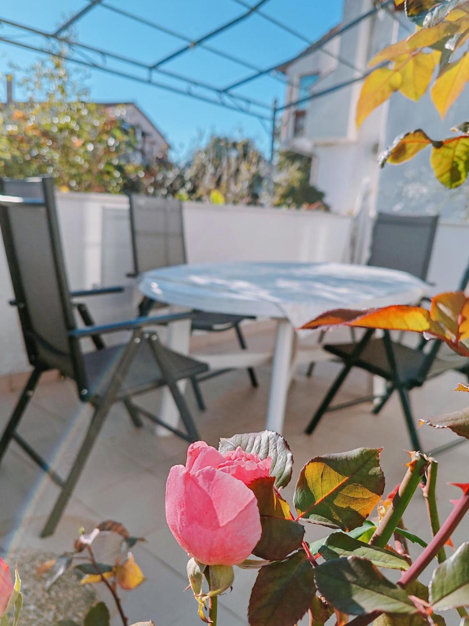 Marko Apartment Rovinj Exteriér fotografie